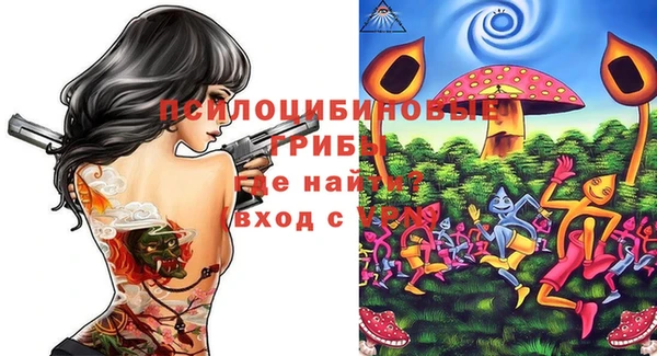 ГАЛЛЮЦИНОГЕННЫЕ ГРИБЫ Балахна