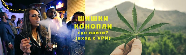ГАЛЛЮЦИНОГЕННЫЕ ГРИБЫ Балахна