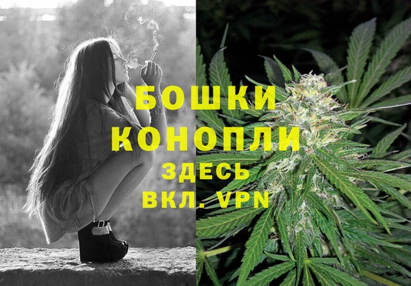мяу мяу мука Сосновый Бор