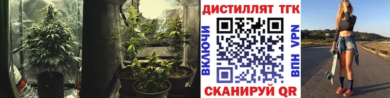 ТГК гашишное масло  darknet официальный сайт  Ладушкин 