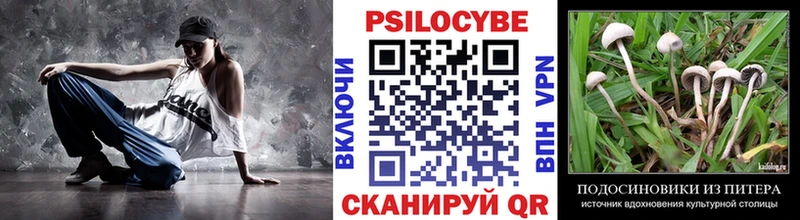это телеграм  Ладушкин  Галлюциногенные грибы Psilocybe 